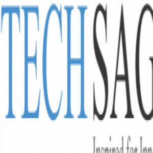 Techsaga Corporations Pvt Ltd.-Freelancer in Noida,India