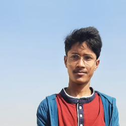 Bikash Hazra-Freelancer in Bankura,India