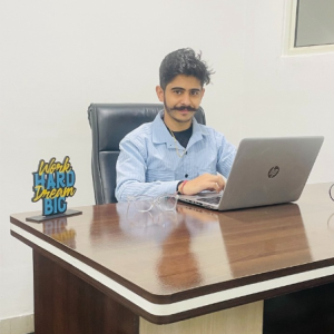 Mani Setia-Freelancer in Chandigarh,India