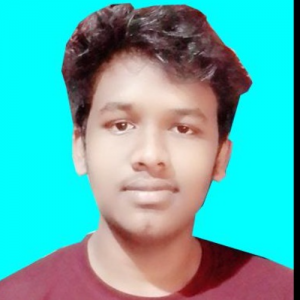 Pravakar Swain-Freelancer in SALAPADA, KENDUJHAR,India