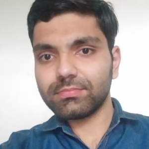 Mohit G.-Freelancer in Panipat,India