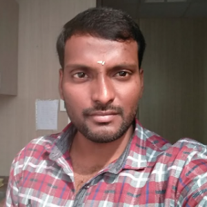 Narayanan K-Freelancer in Chennai,India