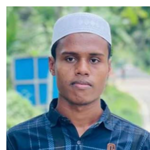 Soied Ahammed-Freelancer in Lakshmipur,Bangladesh