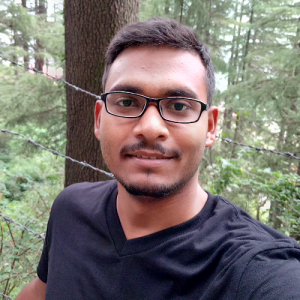 Vikas Anand-Freelancer in Jaipur,India