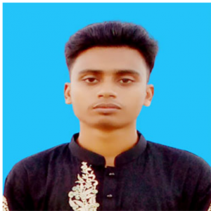 Al Amin-Freelancer in Bhola,Bangladesh