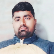 Sanjeev Kumar-Freelancer in Patna,India