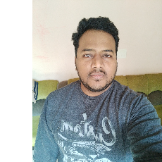 harish Manohar-Freelancer in Bangalore,India
