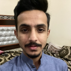 Huzaifa Manzar-Freelancer in Mandi bhauddin,Pakistan