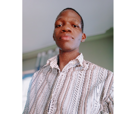 Mutalemwa Innocent-Freelancer in Kampala,Uganda