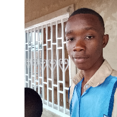 Daniel Kikale-Freelancer in Lubumbashi,Democratic Republic of Congo