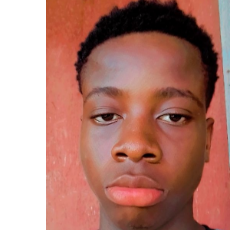 Kingsley Dave-Freelancer in LAGOS,Nigeria