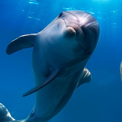 Kasuni Nethmini-Freelancer in Colombo,Sri Lanka