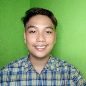 Bryan Garcia-Freelancer in Batangas,Philippines
