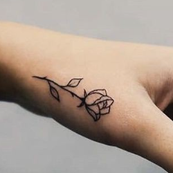 K P Parvathi-Freelancer in Ernakulam,India