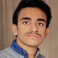 Hamza Shah-Freelancer in Rahim Yar Khan,Pakistan