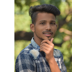 Nitish Pradhan-Freelancer in Chaibasa,India