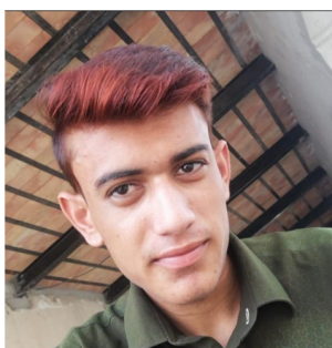 Zahid Ali-Freelancer in Chak 97 RB Johal,Pakistan