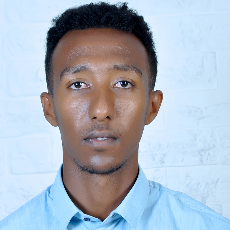 Abel Meketa-Freelancer in Addis Ababa,Ethiopia