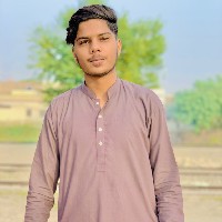 Muhammad Azhan Javed-Freelancer in Faisalabad,Pakistan