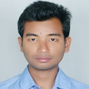 Brahmarkhi Gogoi-Freelancer in NORTH LAKHIMPUR,India