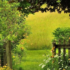 Trisha RG-Freelancer in Zirakpur,India