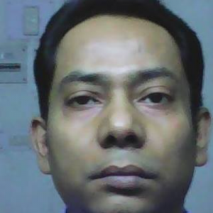 DIBYENDU MANDAL-Freelancer in New Town,India