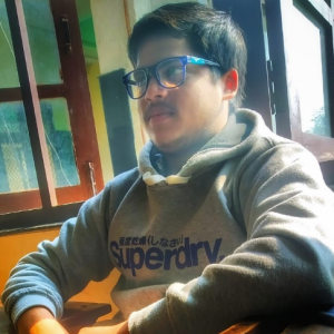 Sadiq Ameen-Freelancer in Delhi,India