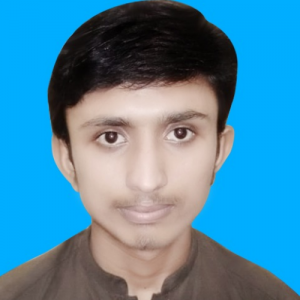 Shakeel Ahmed-Freelancer in Dera Allah Yar,Pakistan
