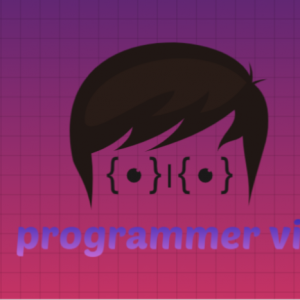 Programmer Vic-Freelancer in Lagos,Nigeria