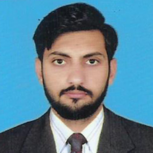 Muhammad Luqman Arif-Freelancer in Jalal Pur Jattan,Pakistan