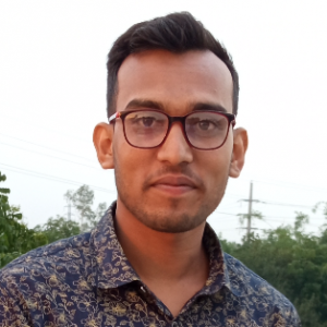 Sabbir Hossain-Freelancer in PABNA,Bangladesh