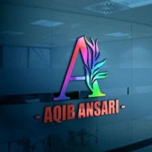 M Aqib Ansari-Freelancer in Kot Addu,Pakistan