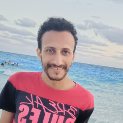 Mahmoud El Sayed-Freelancer in Alexandria,Egypt