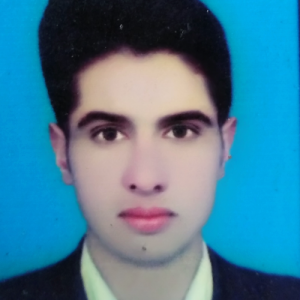 Rizwan ullah-Freelancer in lower Dir,Pakistan