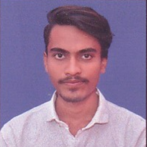 Suraj Mahadeo Bhajgawali-Freelancer in Bramhapuri,India