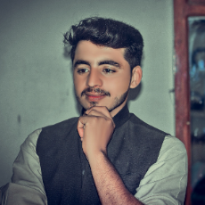 Muhammad Shoaib-Freelancer in Muzaffar gahr,Pakistan