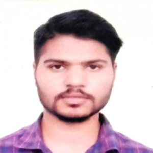 Yogendra Pal-Freelancer in Lucknow,India