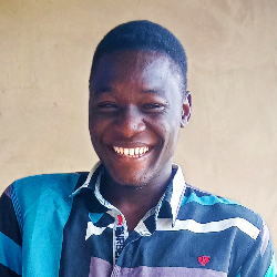 Emmanuel Fadiyimu-Freelancer in Lagos,Nigeria