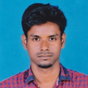 Prabu Balasubramaniyan-Freelancer in Kumbakonam,India