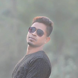 Debashish Biswas-Freelancer in Khulna,Bangladesh