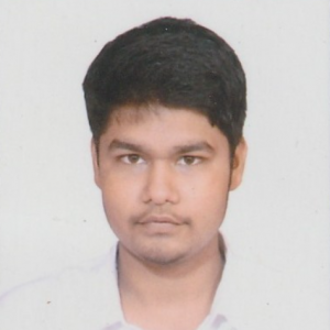 Mohammed Husain-Freelancer in Bhopal,India
