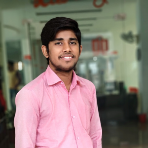 Akram Mikrani-Freelancer in Panipat,India