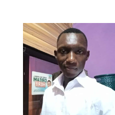 Ifechukwude Gabriel Onyemenam-Freelancer in Asaba,Nigeria