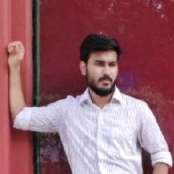Saurav Kumar-Freelancer in Delhi,India
