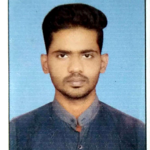 Mr. R.b.sheikh-Freelancer in sausar,India