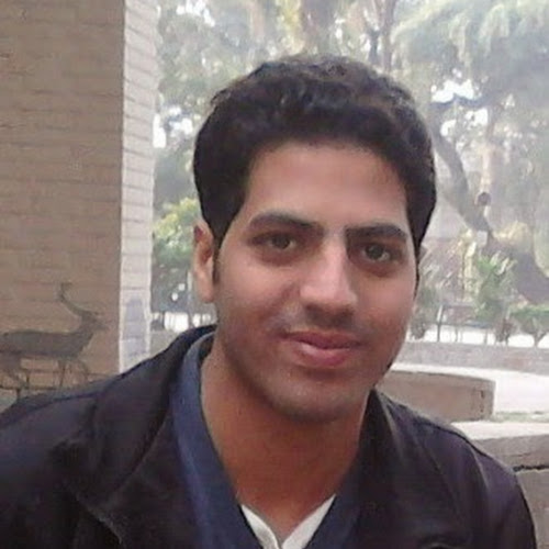 Hassan Mohyudine-Freelancer in ,Pakistan