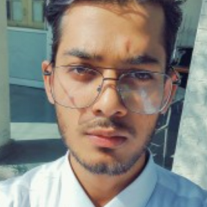 Sharib Ahmed-Freelancer in Lucknow,India