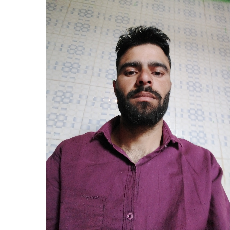 Ramzan Malik-Freelancer in Jammu,India
