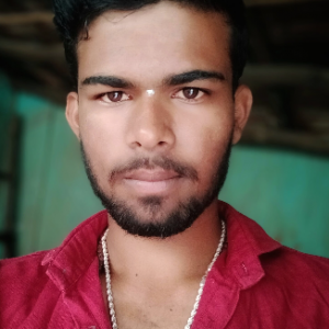 Sunil Badiger-Freelancer in Bailhongal,India