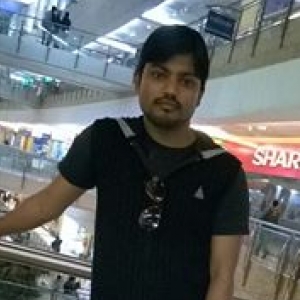 Anuj Garg-Freelancer in Noida,India